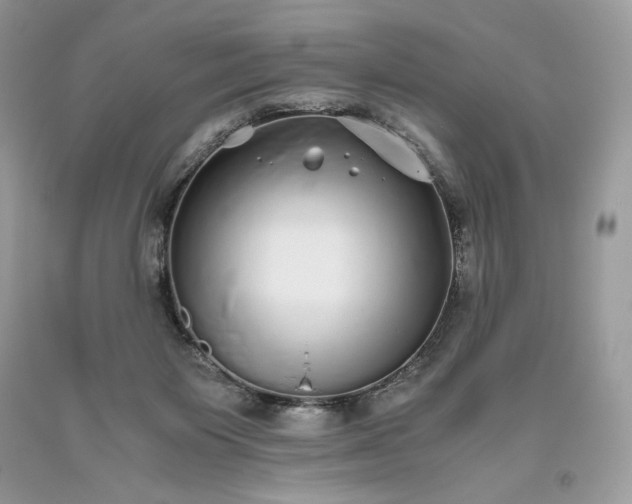 X0000093530119200710261300