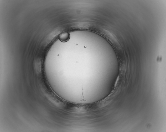 X0000093530120200710261300