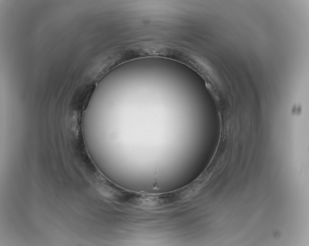 X0000093530121200710261300