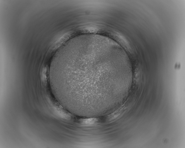 X0000093530122200710261300