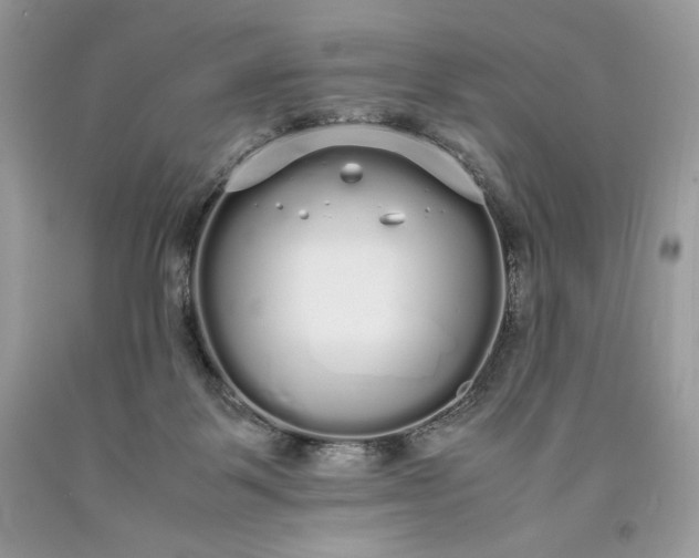 X0000093530123200710261300