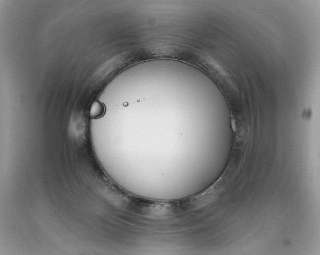 X0000093530124200710261300