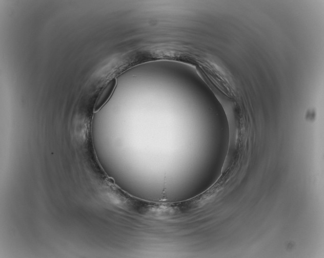 X0000093530125200710261300