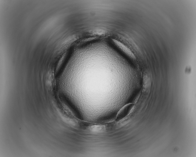 X0000093530126200710261300