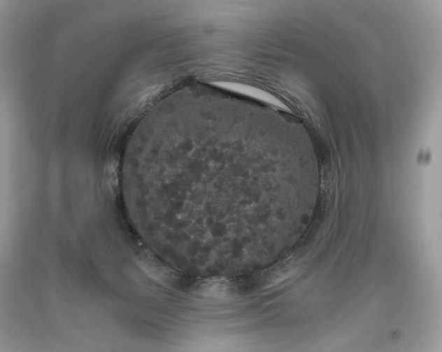 X0000093530127200710261300