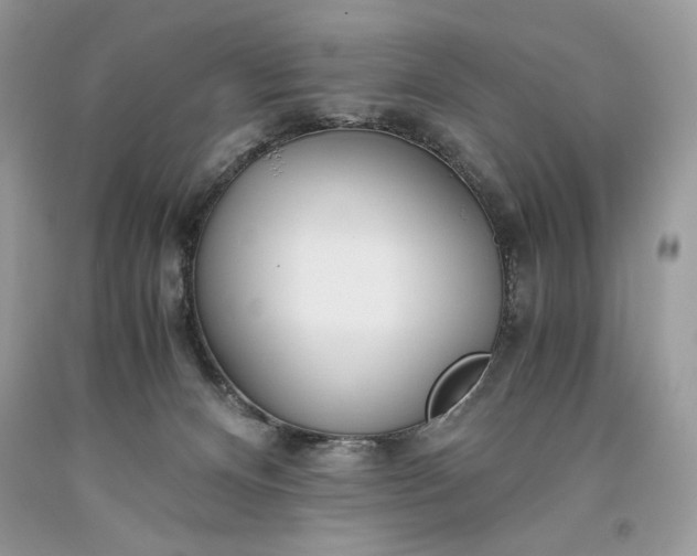 X0000093530128200710261300