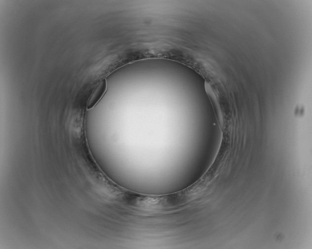 X0000093530129200710261300