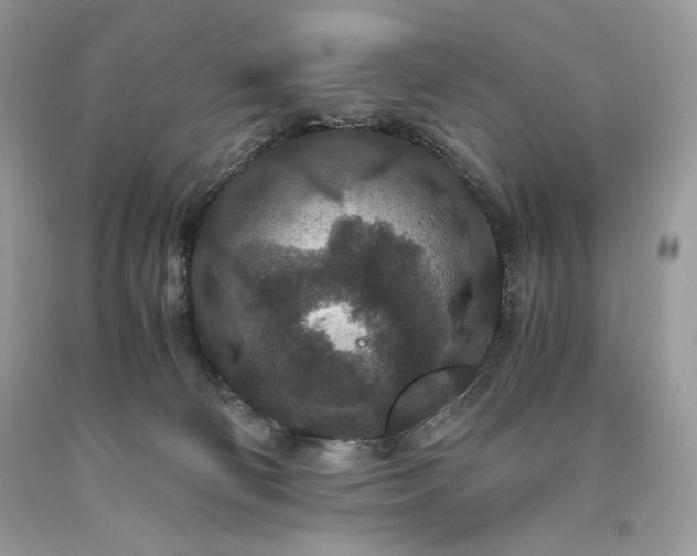 X0000093530130200710261300