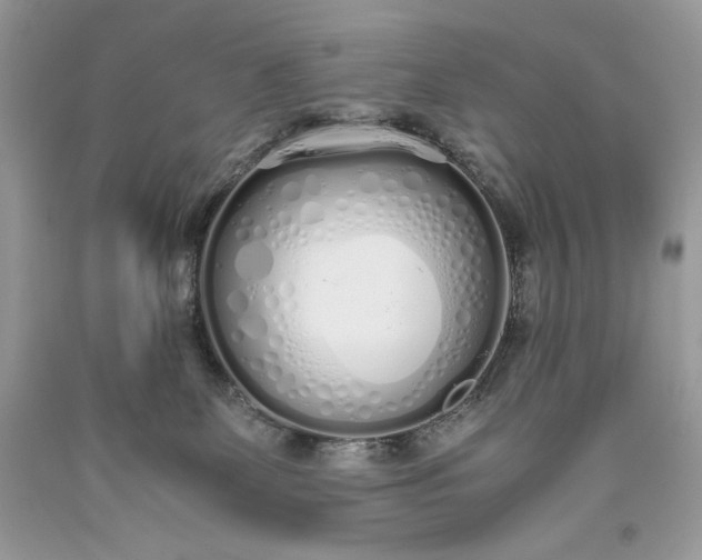 X0000093530131200710261300