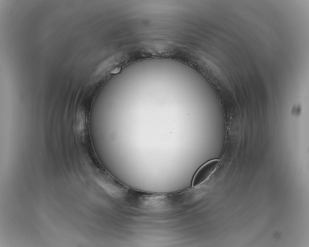 X0000093530132200710261300