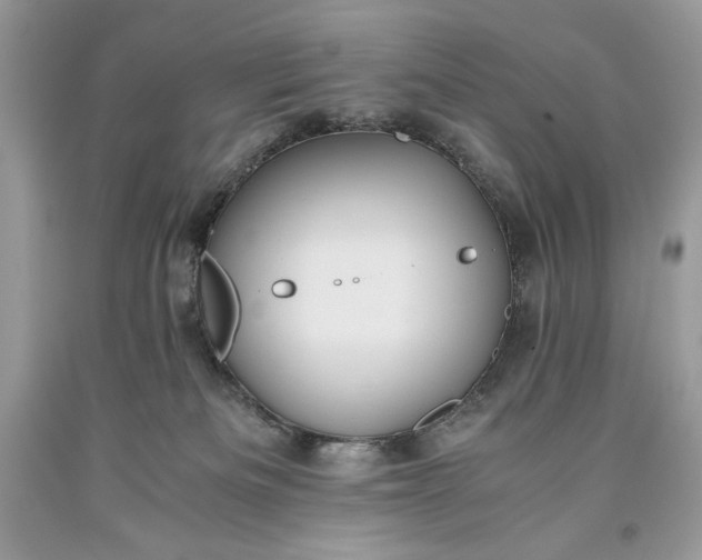 X0000093530133200710261300