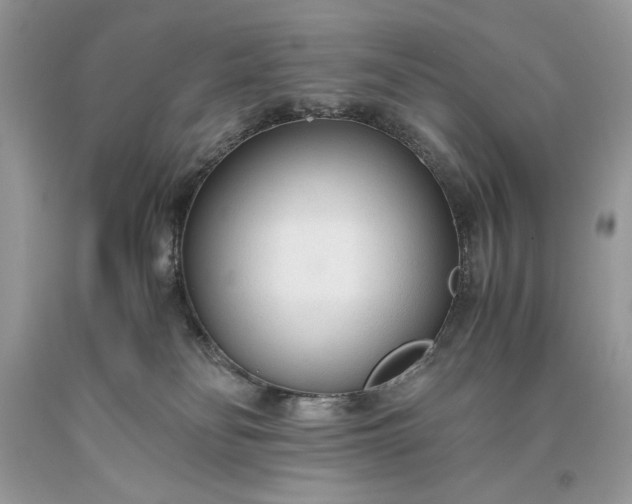 X0000093530134200710261300