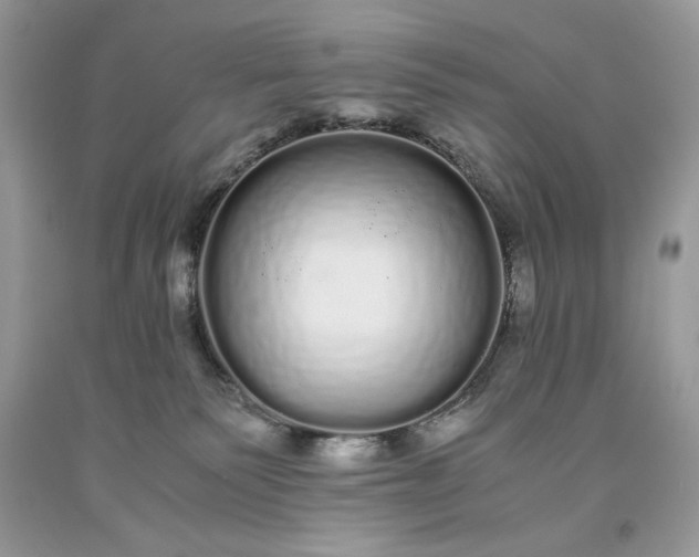 X0000093530135200710261300