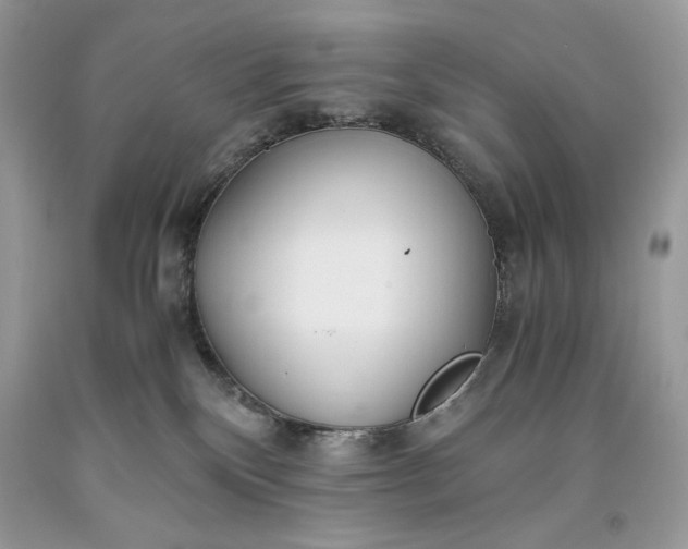 X0000093530136200710261300