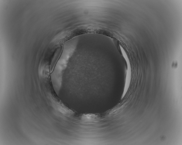 X0000093530137200710261300