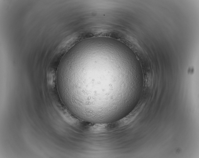 X0000093530138200710261300