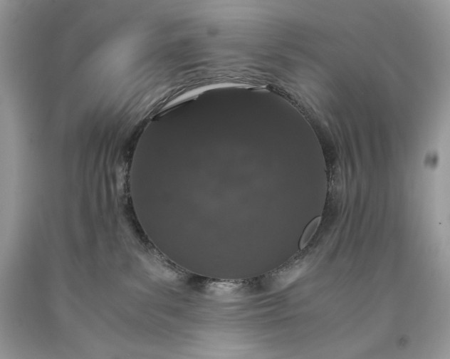 X0000093530139200710261300