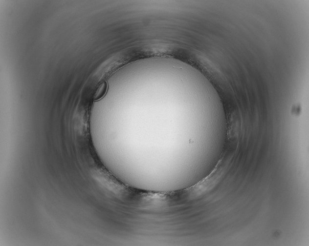 X0000093530140200710261300