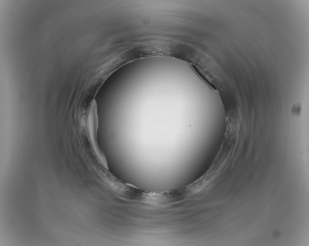 X0000093530141200710261300