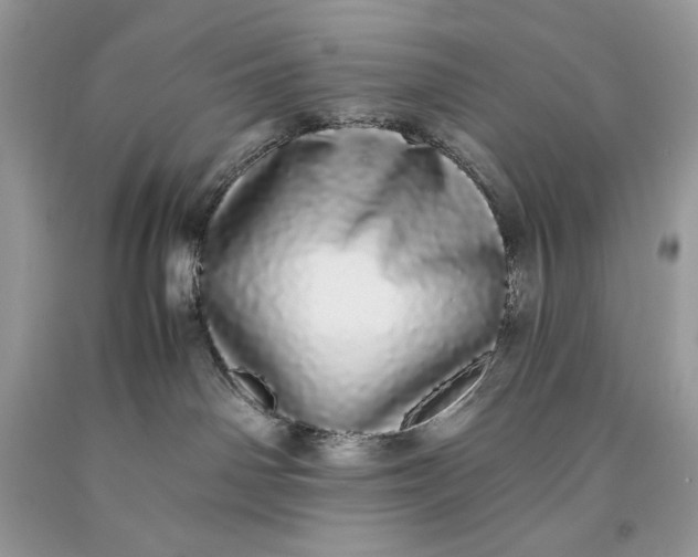 X0000093530142200710261300