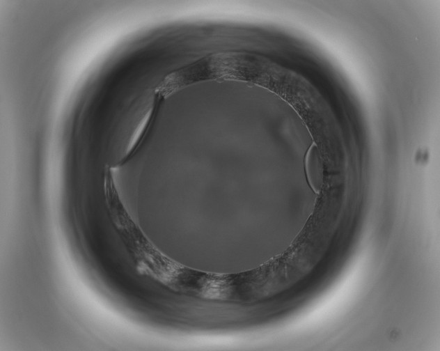 X0000093530143200710261300