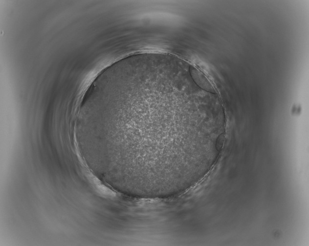 X0000093530145200710261259