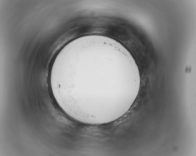 X0000093530146200710261259