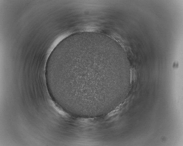 X0000093530147200710261259