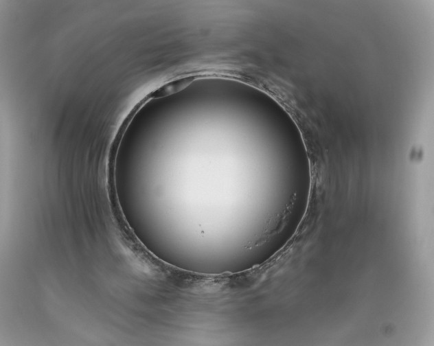 X0000093530148200710261259