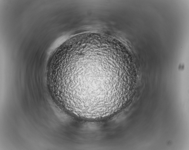 X0000093530149200710261259