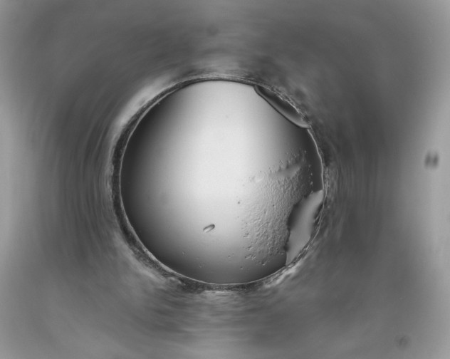 X0000093530150200710261259