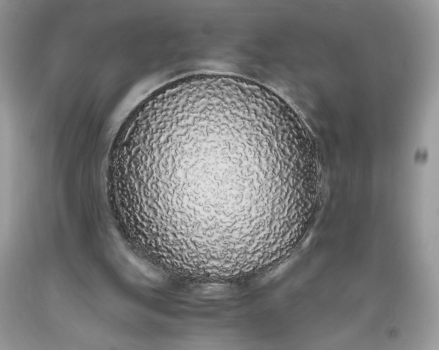 X0000093530151200710261259