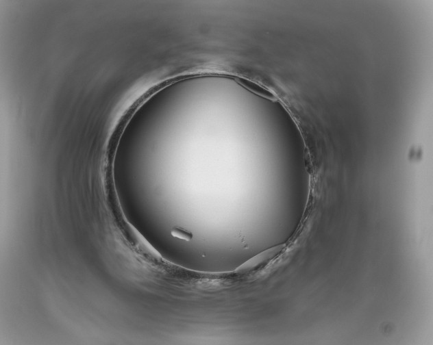 X0000093530152200710261259