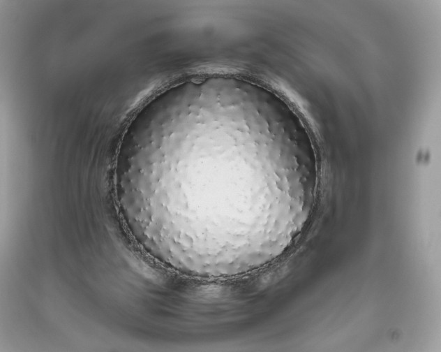 X0000093530153200710261259