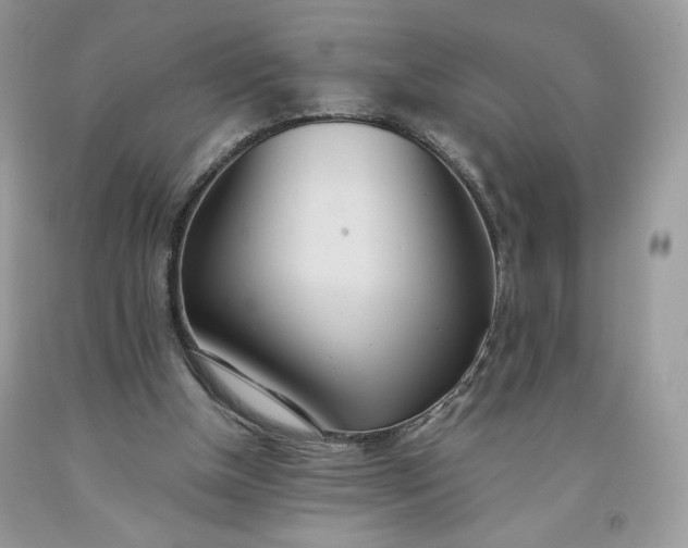 X0000093530154200710261259