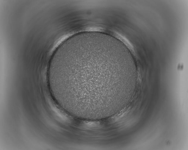 X0000093530155200710261259