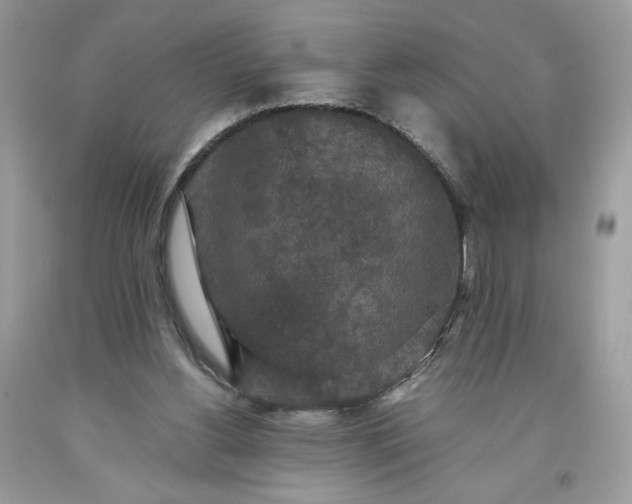 X0000093530156200710261259