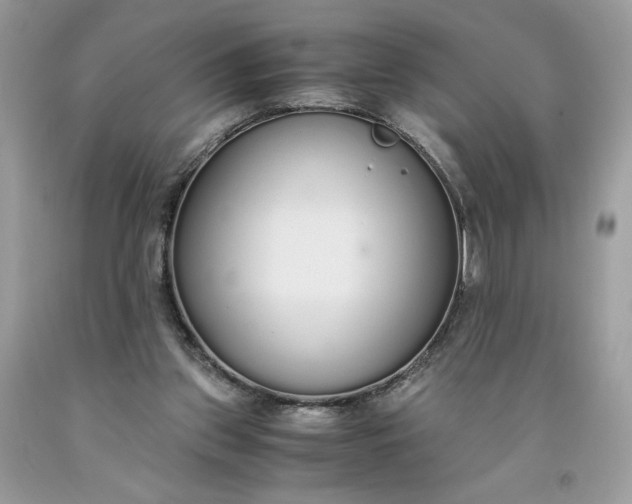 X0000093530157200710261259