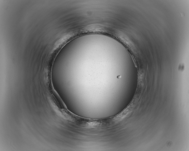 X0000093530158200710261259