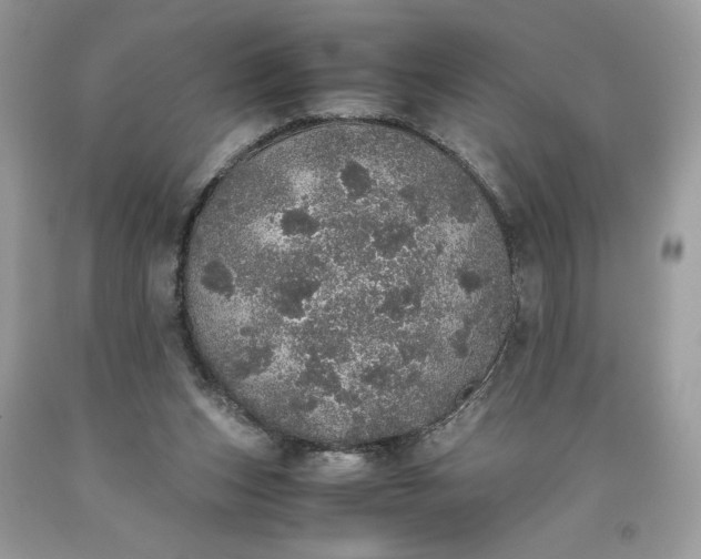 X0000093530159200710261259