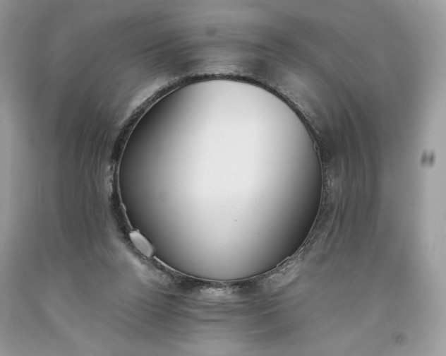 X0000093530160200710261259