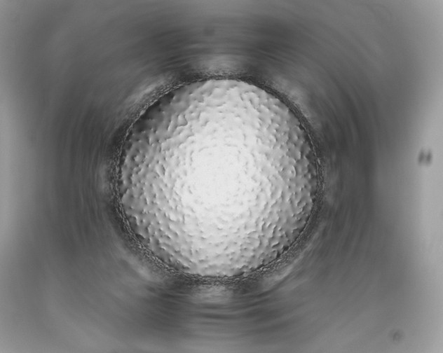 X0000093530161200710261259