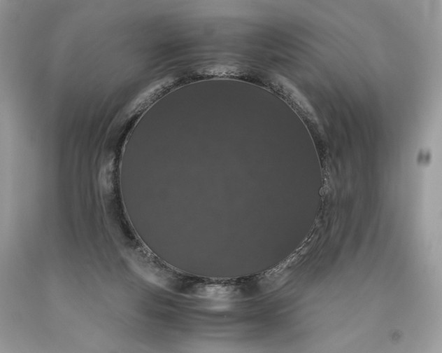 X0000093530163200710261259