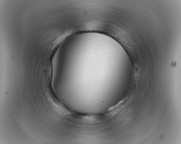 X0000093530164200710261259