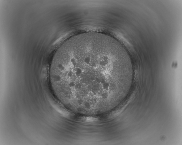 X0000093530165200710261259