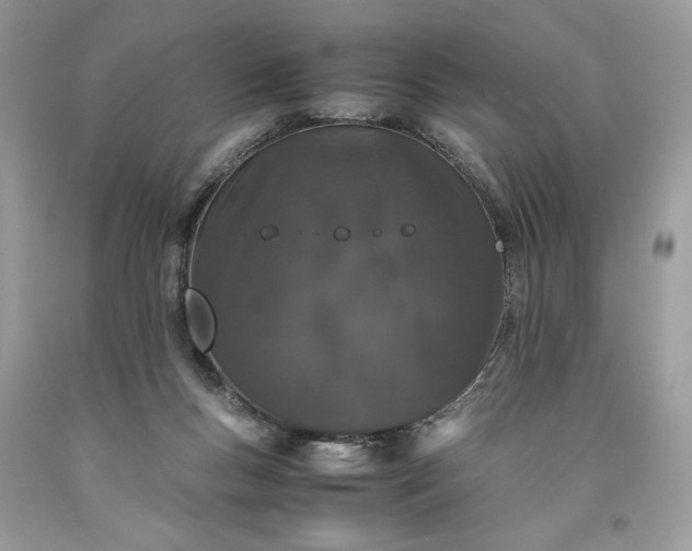 X0000093530167200710261259