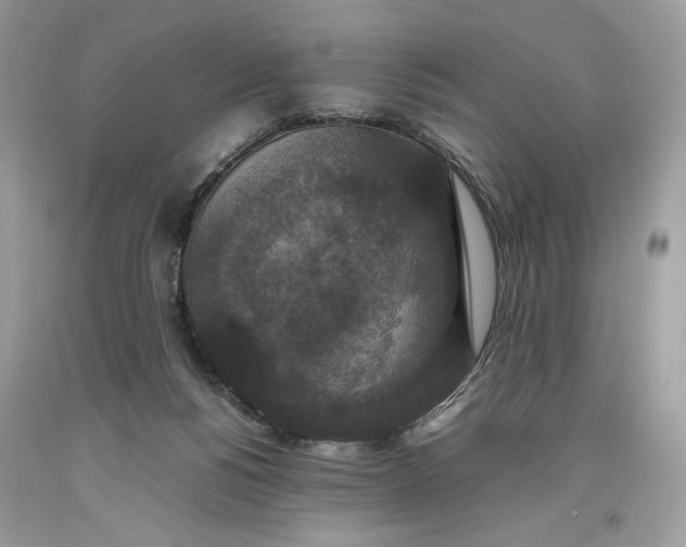 X0000093530168200710261259