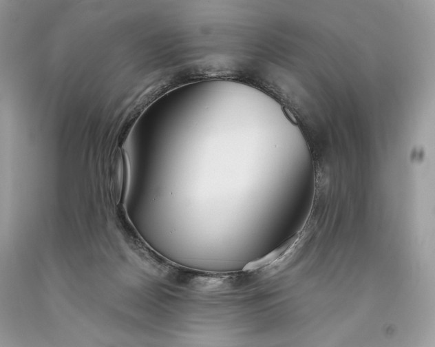 X0000093530170200710261259