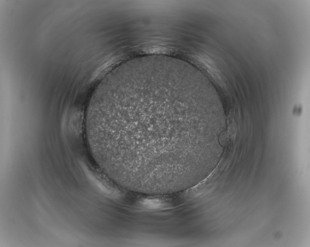 X0000093530171200710261259