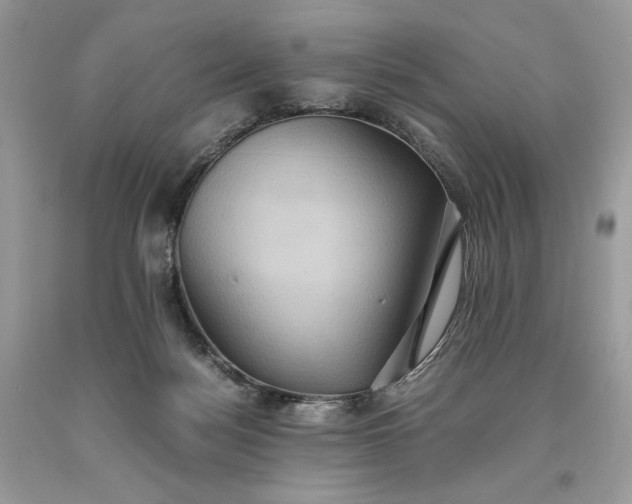 X0000093530172200710261259